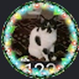 Profile image for cathy gray anzaldua